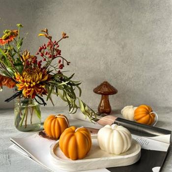 Autumn Soy Pumpkin Candle